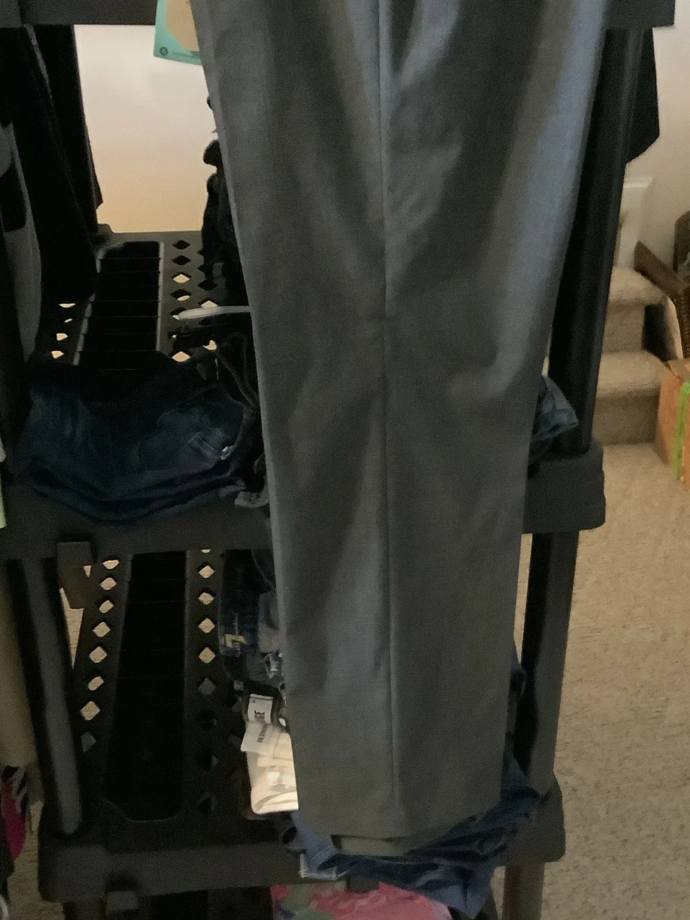 Saddlebred subtle very style